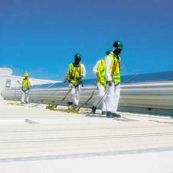 Fondo 3 - Disciplina en proyectos