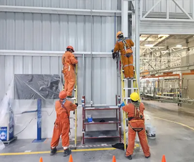 Limpieza de zonas de acceso