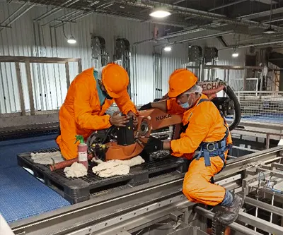 Limpieza y eliminación de contaminantes en brazo robot